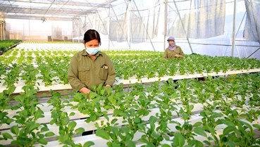 Kinh tế nông thôn khởi sắc sau làn sóng đầu tư mới