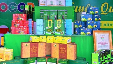 Liên kết chuỗi và số hóa – Cánh cửa mở rộng cho chè Việt ra thế giới