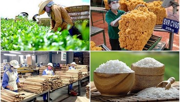 Bộ NN&PTNT đặt mục tiêu xuất khẩu nông sản năm 2022 thu 55 tỷ USD