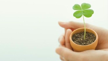 Giá trị của những trái tim trân trọng