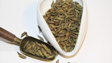 Trà đuôi rồng – Di sản trà cổ thụ giữa mây ngàn Tây Bắc