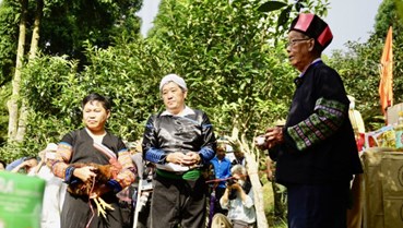 Lễ cúng cây chè tổ Suối Giàng: Nét đẹp văn hóa của dân tộc Mông