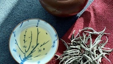 Giá trị sức khỏe từ Shan Tuyết Bạch Trà