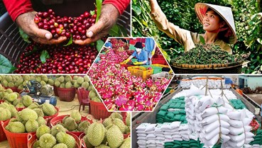 Năm 2025: Bước ngoặt lịch sử và khát vọng 70 tỷ USD của nông sản Việt