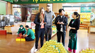 Liên kết HTX, vùng nguyên liệu an toàn: Chìa khóa nâng tầm Chè Tân Cương