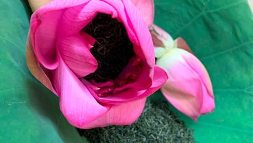 Trà ướp hoa Việt Nam: Bản sắc khác biệt giữa thị trường toàn cầu