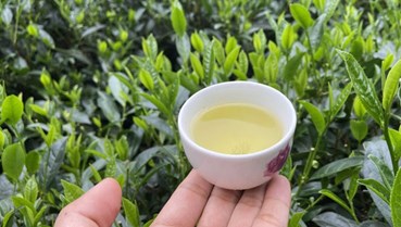 Uống trà và cà phê đúng cách: Giải pháp giảm thiểu 32% rủi ro đột quỵ