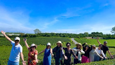 Du lịch xanh từ vùng chè: Hướng đi bền vững cho nông thôn mới Lâm Đồng