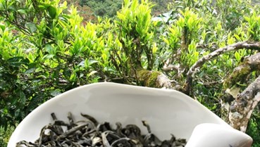 Chè Việt và bài toán chinh phục người tiêu dùng trung lưu