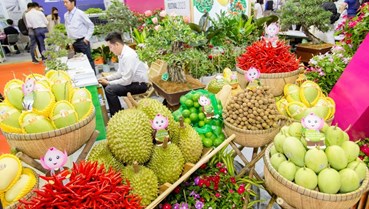 Xu hướng đa dạng hóa thị trường và điều chỉnh lộ trình xuất khẩu nông sản