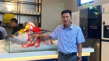 Phú Thảo: Uy tín từ biển cả, chất lượng đến từng thớ cá ngừ Tam Quan