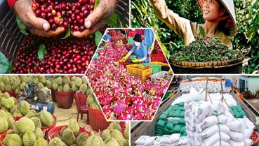 Nông sản Việt Nam năm 2025: Mở rộng thị trường, lập kỷ lục xuất khẩu