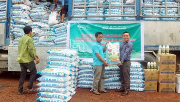 Thái Nguyên: Hỗ trợ 250 tấn phân hữu cơ vi sinh cho các hợp tác xã trồng chè 