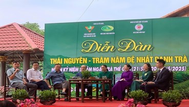 Thái Nguyên: Tổ chức diễn đàn trăm năm đệ nhất danh trà, hưởng ứng năm năm ngày trà thế giới