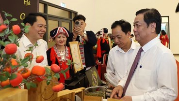 “Fìn Hò Trà” đặc sản trứ danh của vùng núi Phìn Hồ ở Hà Giang