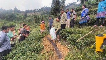 Lào Cai: Hướng dẫn nâng cao ý thức sử dụng thuốc bảo vệ thực vật cho người trồng chè