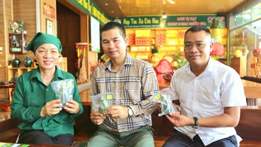 Hợp tác xã Hảo Đạt - Hành trình đưa hương trà Tân Cương vươn xa