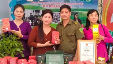 Hà Nội: Nguyện vọng chính đáng của người dân làng nghề chè Phú Yên, xã Yên Bài