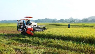 Phú Thọ: Nâng cao giá trị các sản phẩm OCOP và nông nghiệp tại huyện Thanh Sơn