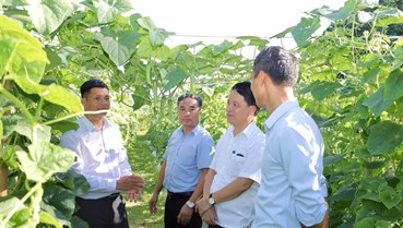 Sơn Tây- Hà Tĩnh: Lan tỏa sản xuất nông nghiệp an toàn, hữu cơ