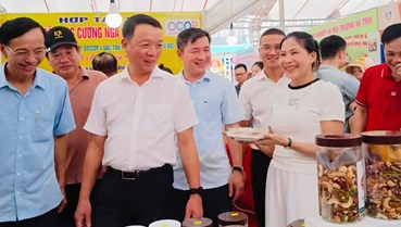 Hội chợ Miền Trung - Tây Nguyên 2026: Đa dạng sản phẩm, mở rộng cơ hội kết nối thị trường