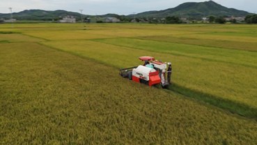 Từng bước xây dựng nền nông nghiệp hiện đại, bền vững tại Hà Tĩnh