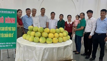 Đầu tư nâng tầm sản phẩm OCOP Hà Tĩnh, hướng ra thị trường lớn