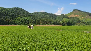 Chuyển đổi số – Động lực phát triển nông thôn Hà Tĩnh