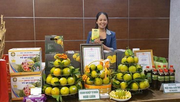 Hội chợ Công thương vùng Bắc Trung Bộ – Hà Tĩnh: Nơi quảng bá sản phẩm vùng miền