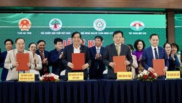 Hà Tĩnh tăng tốc phát triển nông nghiệp hữu cơ – tuần hoàn giai đoạn mới