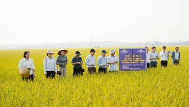 Sinh kế nông nghiệp thích ứng biến đổi khí hậu, cơ hội cho phụ nữ Quảng Trị