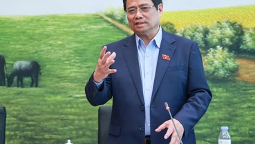 Chính sách đất đai mới: Bệ phóng cho ngành đồ uống và cây chè Việt Nam bứt tốc