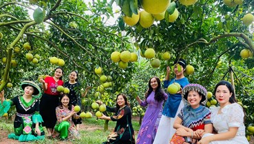 Bắc Ninh rộn ràng mùa thu hoạch cam, bưởi và Lễ hội trái cây 2025