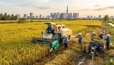 TP.Hồ Chí Minh định hình nông nghiệp đô thị, tạo nền tảng cho nông thôn mới