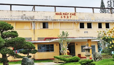 Sức sống trăm năm của Bảo tàng Chè cổ 1927