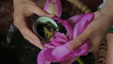 Sức sống mới của làng nghề chè sen trăm năm đất Quảng An