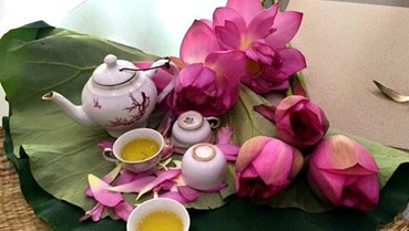 Khám phá thời điểm vàng thưởng thức trà sen để tối ưu hóa lợi ích cho sức khỏe