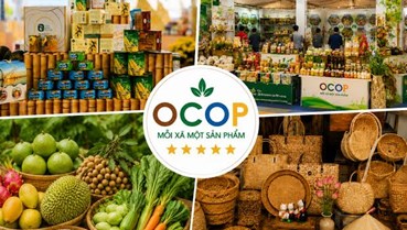 Bảo vệ thương hiệu OCOP và đặc sản địa phương trước áp lực hàng nhái