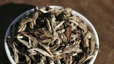 Vị thế mới của chè Tuyên Quang trên bản đồ trà thế giới