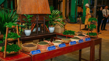 Người trẻ và hành trình làm mới trà Việt: Từ khởi nghiệp đến tái định vị văn hóa