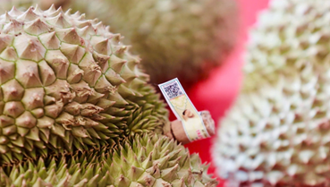 Truy xuất nguồn gốc: Bước đi tất yếu để nông sản Việt vươn xa