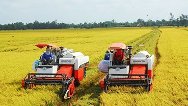 Hướng tới nền nông nghiệp xanh, tuần hoàn và có trách nhiệm với môi trường toàn cầu