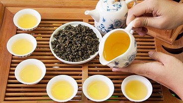  Những giống trà làm nên thương hiệu cho trà ô long Lâm Đồng