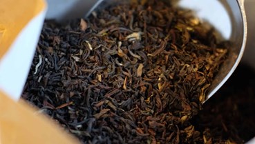 Darjeeling – “Champagne của thế giới trà”