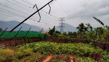 Điện lực miền Bắc khắc phục sự cố do mưa lớn và lốc xoáy tại một số tỉnh miền núi phía Bắc
