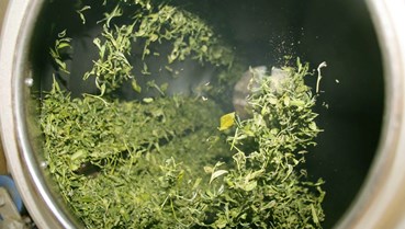 Nguyên liệu sạch: Cuộc tái định nghĩa giá trị trong ngành đồ uống