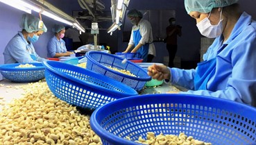 Trung Quốc siết kiểm soát từ 1/6, nông sản Việt đối mặt áp lực chuẩn hóa