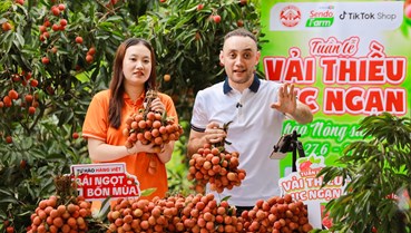 Livestream mở lối tiêu thụ mới cho vải thiều Bắc Ninh