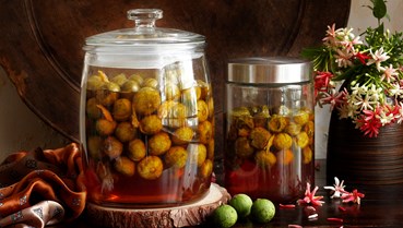 Quả sấu Hà Thành