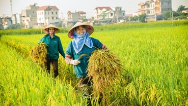 Tam nông luôn là trụ đỡ của nền kinh tế